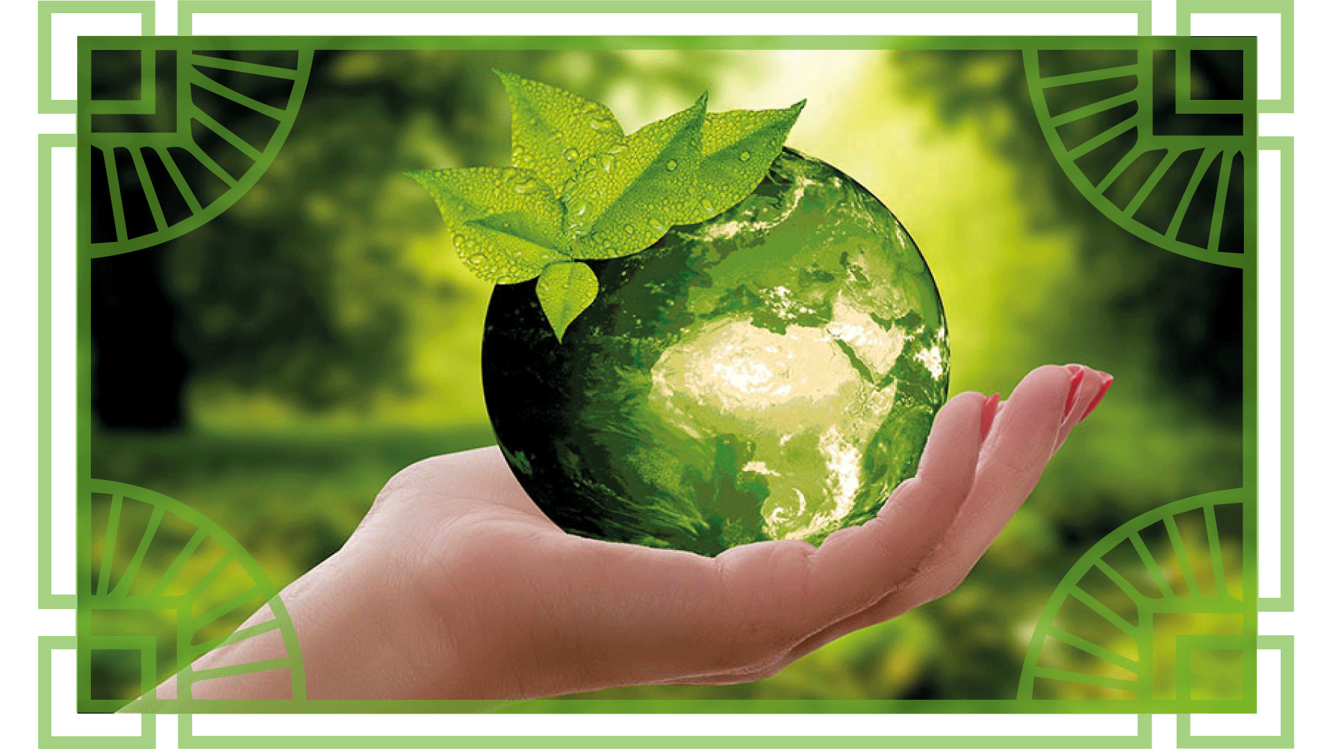 Sustentabilidad Image